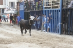 Concurso de ganaderias y vaquillas enfundadas.