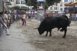 Concurso de ganaderias y vaquillas enfundadas.
