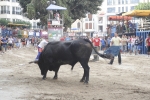 Concurso de ganaderias y vaquillas enfundadas.
