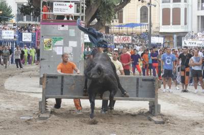 Fotografia /Gallery/20381_11567/2_M1.jpg