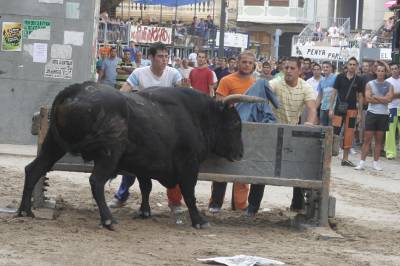 Fotografia /Gallery/20381_11567/3_M1.jpg