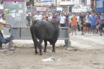 Concurso de ganaderias y vaquillas enfundadas.