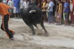 Concurso de ganaderias y vaquillas enfundadas.