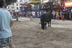 Concurso de ganaderias y vaquillas enfundadas.