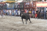 Concurso de ganaderias y vaquillas enfundadas.