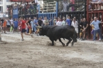 Concurso de ganaderias y vaquillas enfundadas.