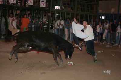 Fotografia /Gallery/20381_11567/4_M1.jpg