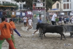 Concurso de ganaderias y vaquillas enfundadas.