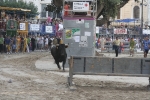 Concurso de ganaderias y vaquillas enfundadas.