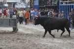 Concurso de ganaderias y vaquillas enfundadas.