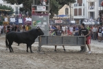 Concurso de ganaderias y vaquillas enfundadas.