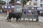 Concurso de ganaderias y vaquillas enfundadas.