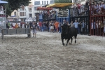 Concurso de ganaderias y vaquillas enfundadas.