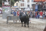 Concurso de ganaderias y vaquillas enfundadas.