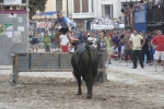Concurso de ganaderias y vaquillas enfundadas.