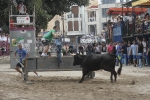 Concurso de ganaderias y vaquillas enfundadas.
