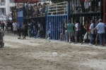 Concurso de ganaderias y vaquillas enfundadas.