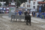 Concurso de ganaderias y vaquillas enfundadas.