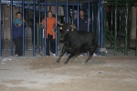 Concurso de ganaderias y vaquillas enfundadas.