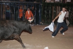 Concurso de ganaderias y vaquillas enfundadas.
