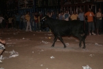 Concurso de ganaderias y vaquillas enfundadas.