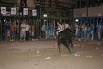 Concurso de ganaderias y vaquillas enfundadas.