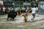 Las exhibiciones taurinas llegan a su fin.