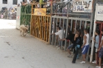 Las exhibiciones taurinas llegan a su fin.