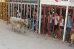 Las exhibiciones taurinas llegan a su fin.