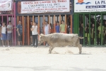 Las exhibiciones taurinas llegan a su fin.