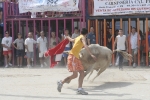 Las exhibiciones taurinas llegan a su fin.