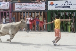 Las exhibiciones taurinas llegan a su fin.
