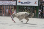 Las exhibiciones taurinas llegan a su fin.