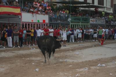 Fotografia /Gallery/20392_11579/3_M1.jpg