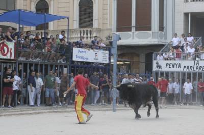 Fotografia /Gallery/20392_11579/4_M1.jpg