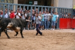 Punto y final a las exhibiciones taurinas