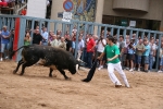 Punto y final a las exhibiciones taurinas