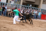 Punto y final a las exhibiciones taurinas