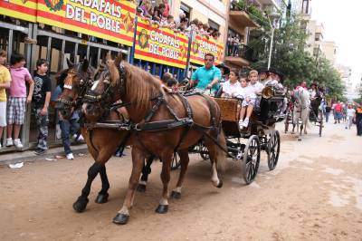 Fotografia /Gallery/20414_11588/5_M1.jpg