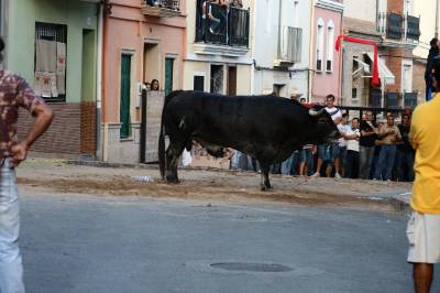 Fotografia /Gallery/20631_11706/2_M1.jpg