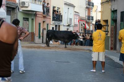 Fotografia /Gallery/20631_11706/3_M1.jpg