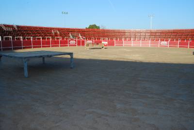 Fotografia /Gallery/20776_11806/3_M1.jpg