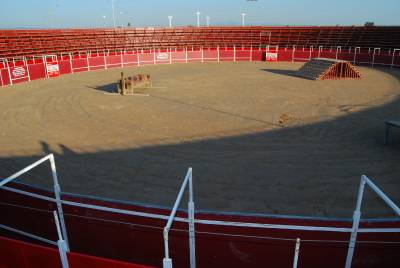 Fotografia /Gallery/20776_11806/4_M1.jpg