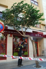 Batalla de Flores III