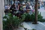 Batalla de Flores III