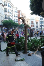Batalla de Flores III