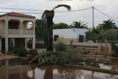 Fotografia /Gallery/20994_11928/5_M1.jpg