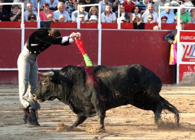 Fotografia /Gallery/21118_11969/4_M1.jpg