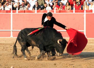 Fotografia /Gallery/21118_11969/5_M1.jpg