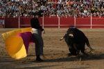 El Fandi